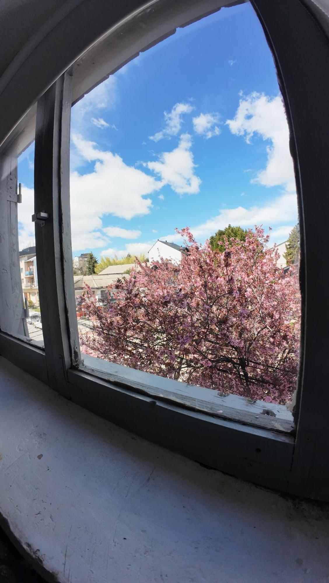 Temiscira Hostel San Carlos de Bariloche Exteriör bild